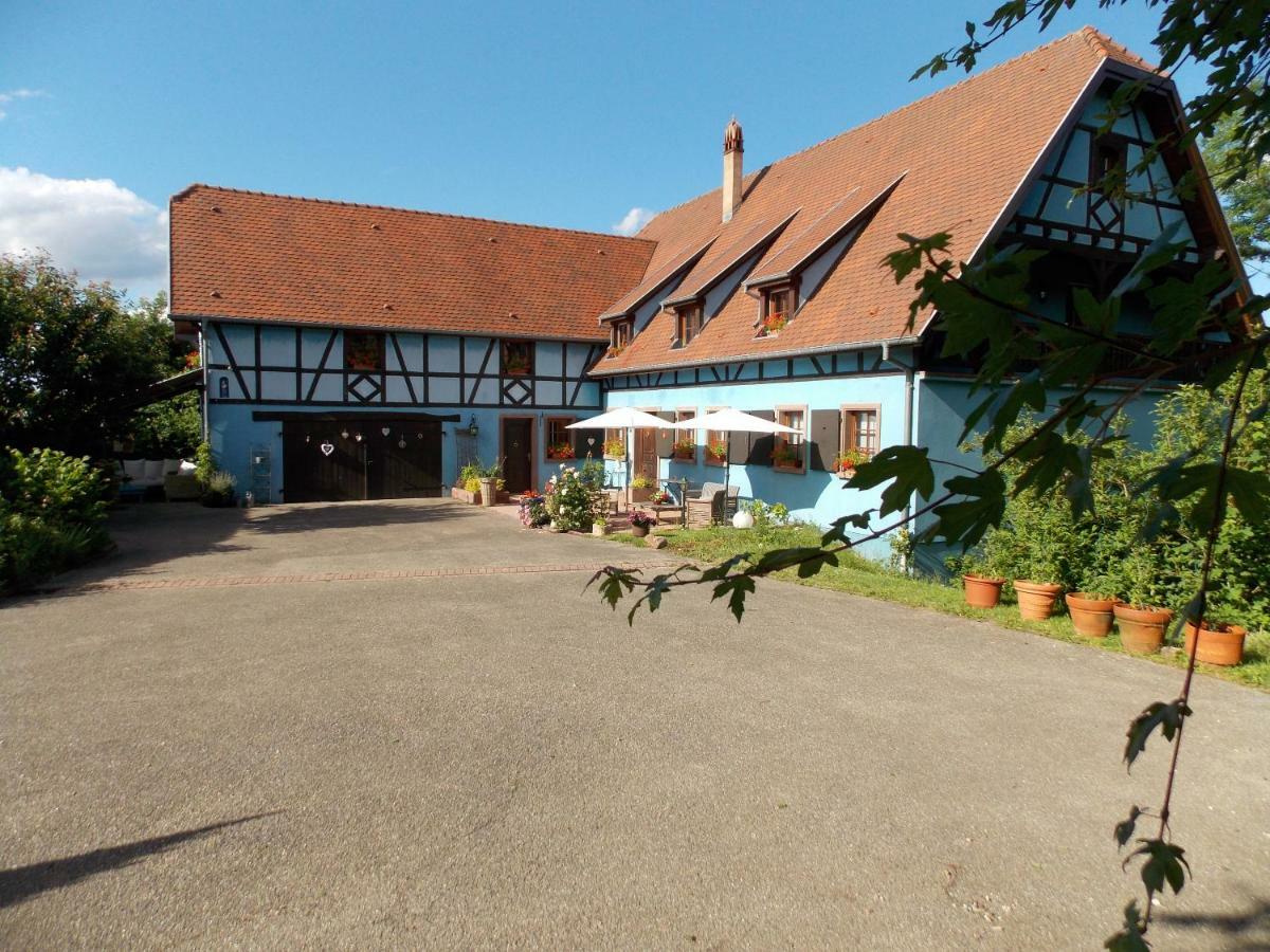 Le Gite Bleu Willgottheim Exterior foto
